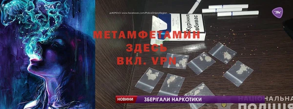 прущие грибы Касимов