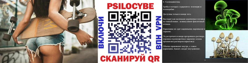 hydra как войти  Ковылкино  Галлюциногенные грибы Magic Shrooms  сайты даркнета клад  купить наркотик 